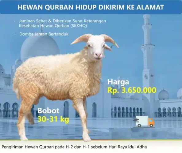 Kurban - Qurban Domba  cilegon